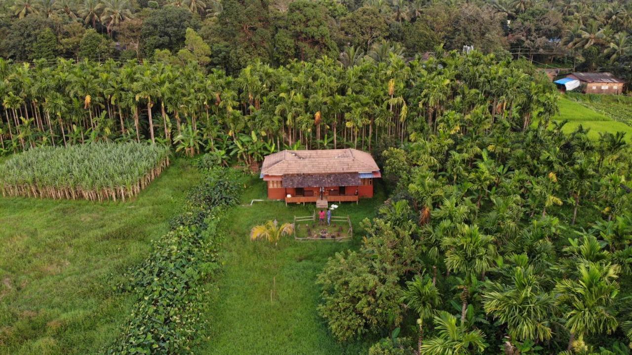 Ibbani Homestay, Siddapur Eksteriør bilde