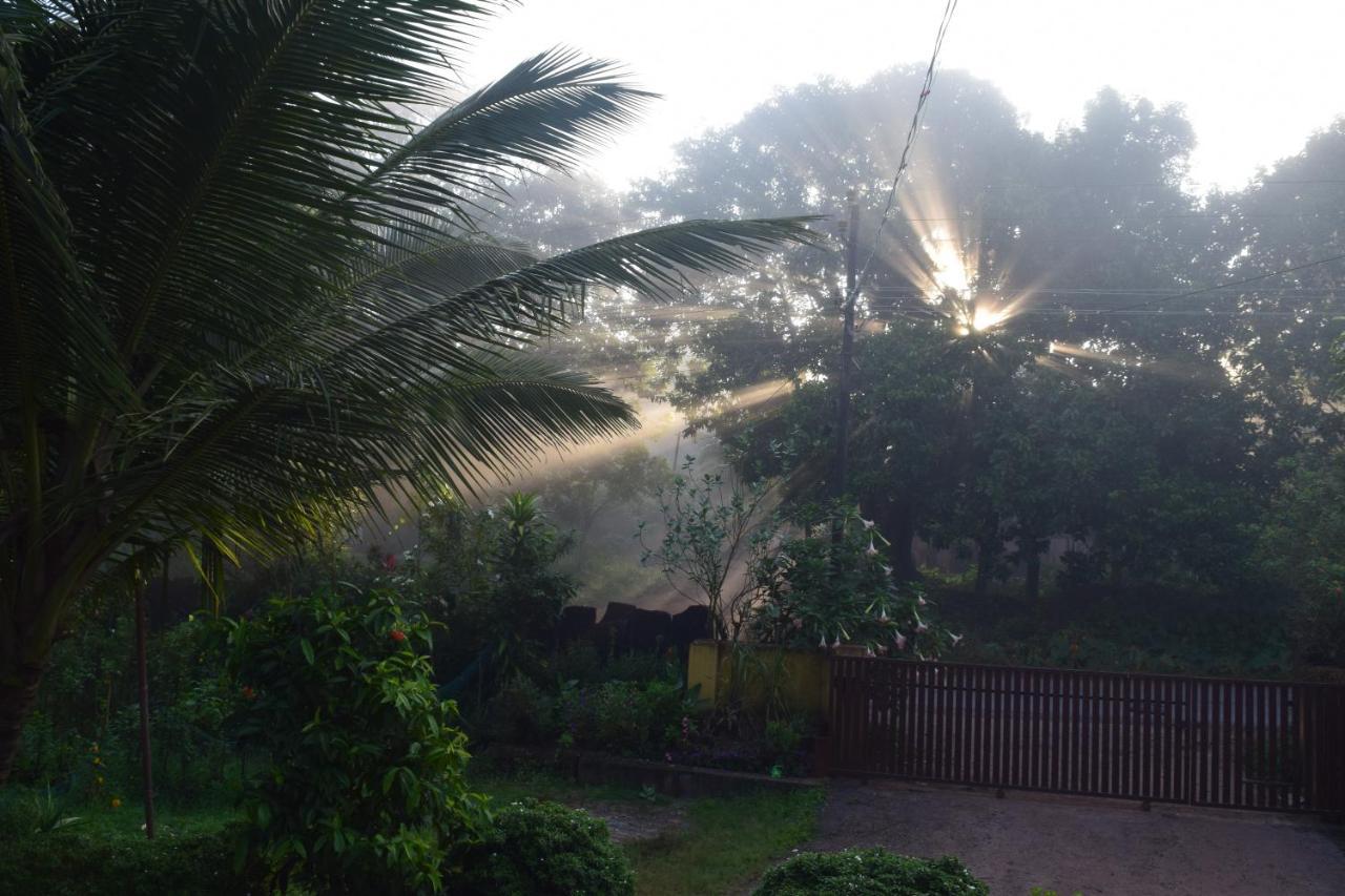 Ibbani Homestay, Siddapur Eksteriør bilde