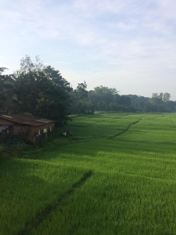 Ibbani Homestay, Siddapur Eksteriør bilde