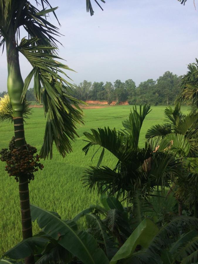 Ibbani Homestay, Siddapur Eksteriør bilde